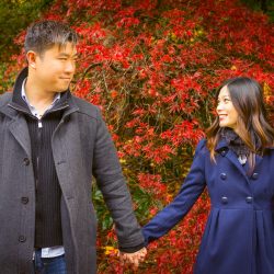 engaged couple holding hands in front of red tree at Mt Dandenong Ranges