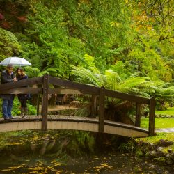 Mt Dandenong Ranges couple standing by the bridge talking happily captured by candid wedding photographers Black Avenue Productions