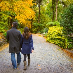 couple walking down the red trees forest captured by candid photographer naturally