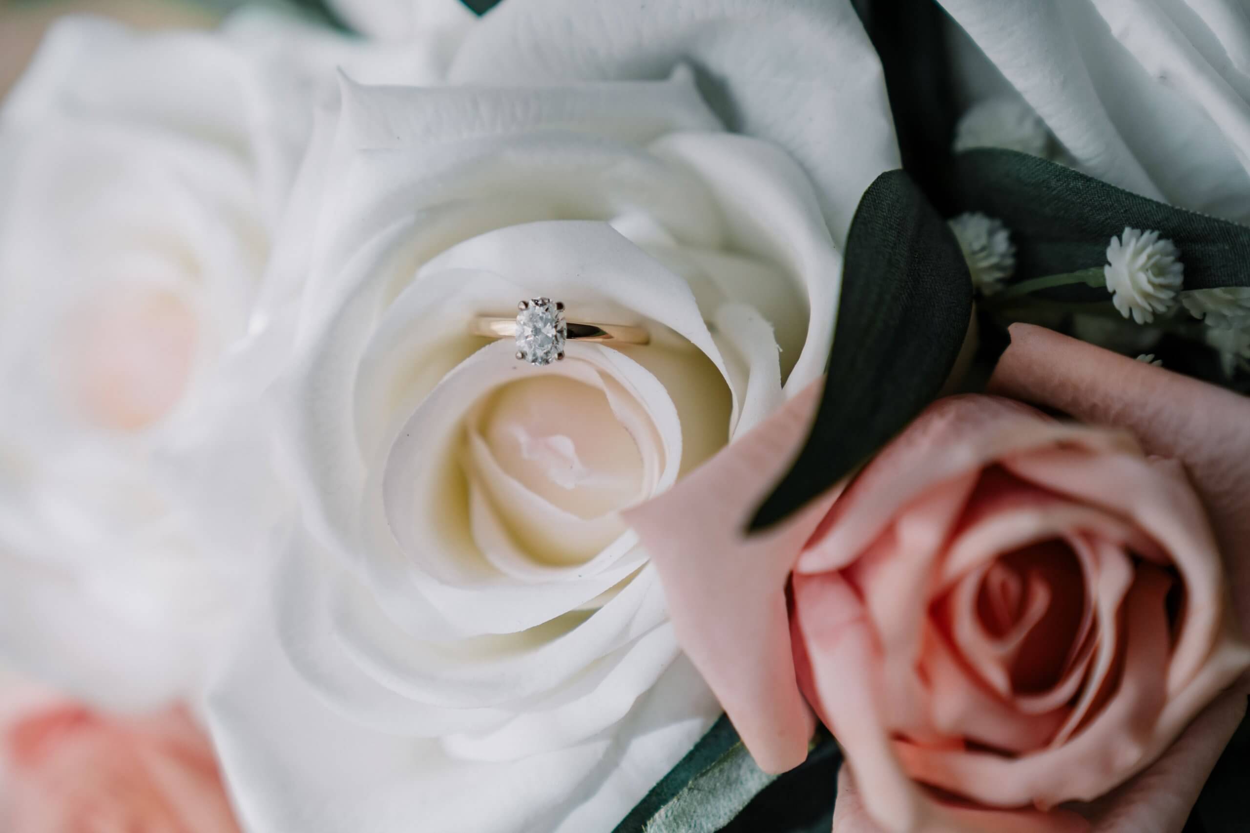 A golden engagement ring, encrusted with a large diamond, sits beautifully on white and pink roses.