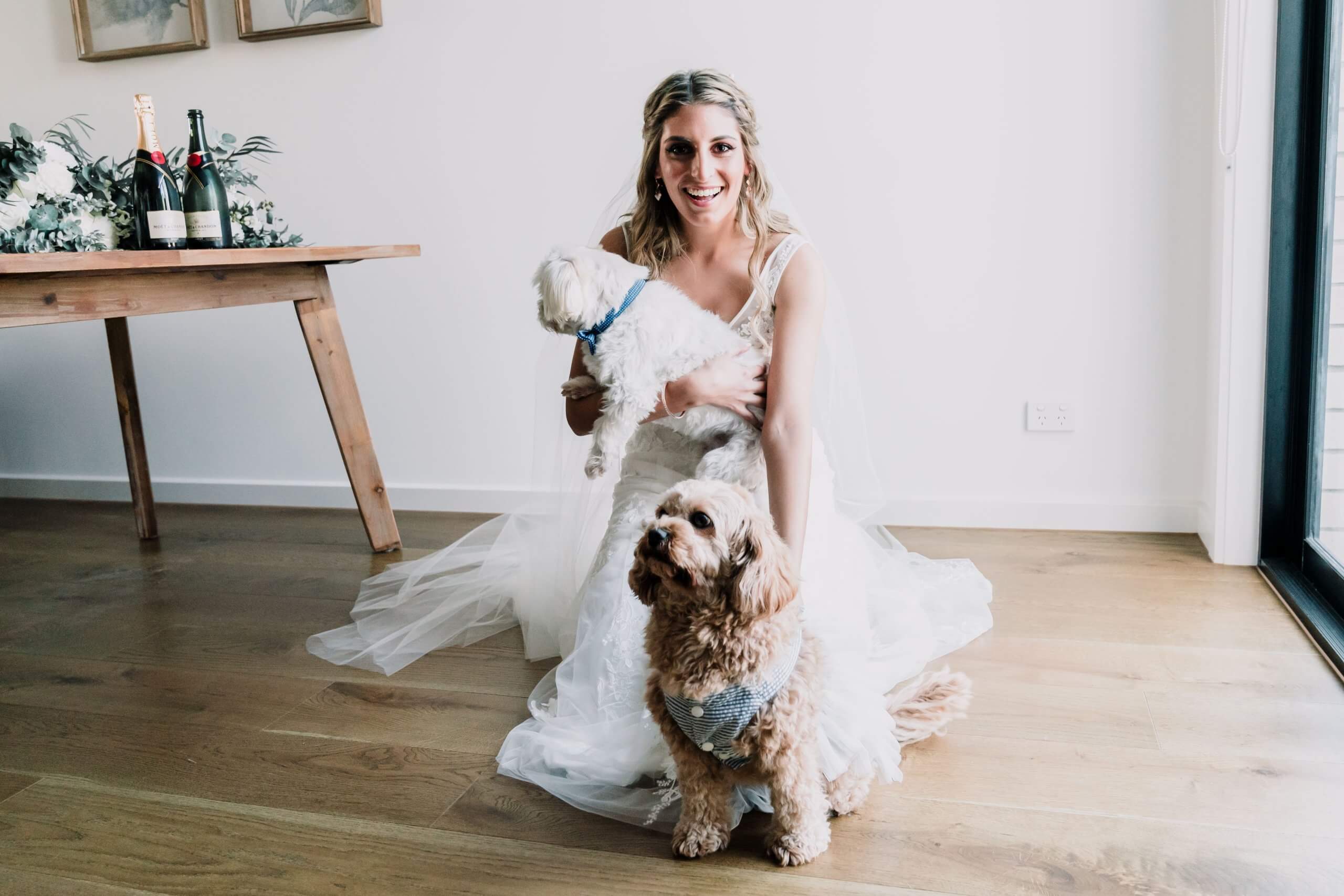 Bride in her wedding dress, kneeling on the floor to carry and pet her two dogs.