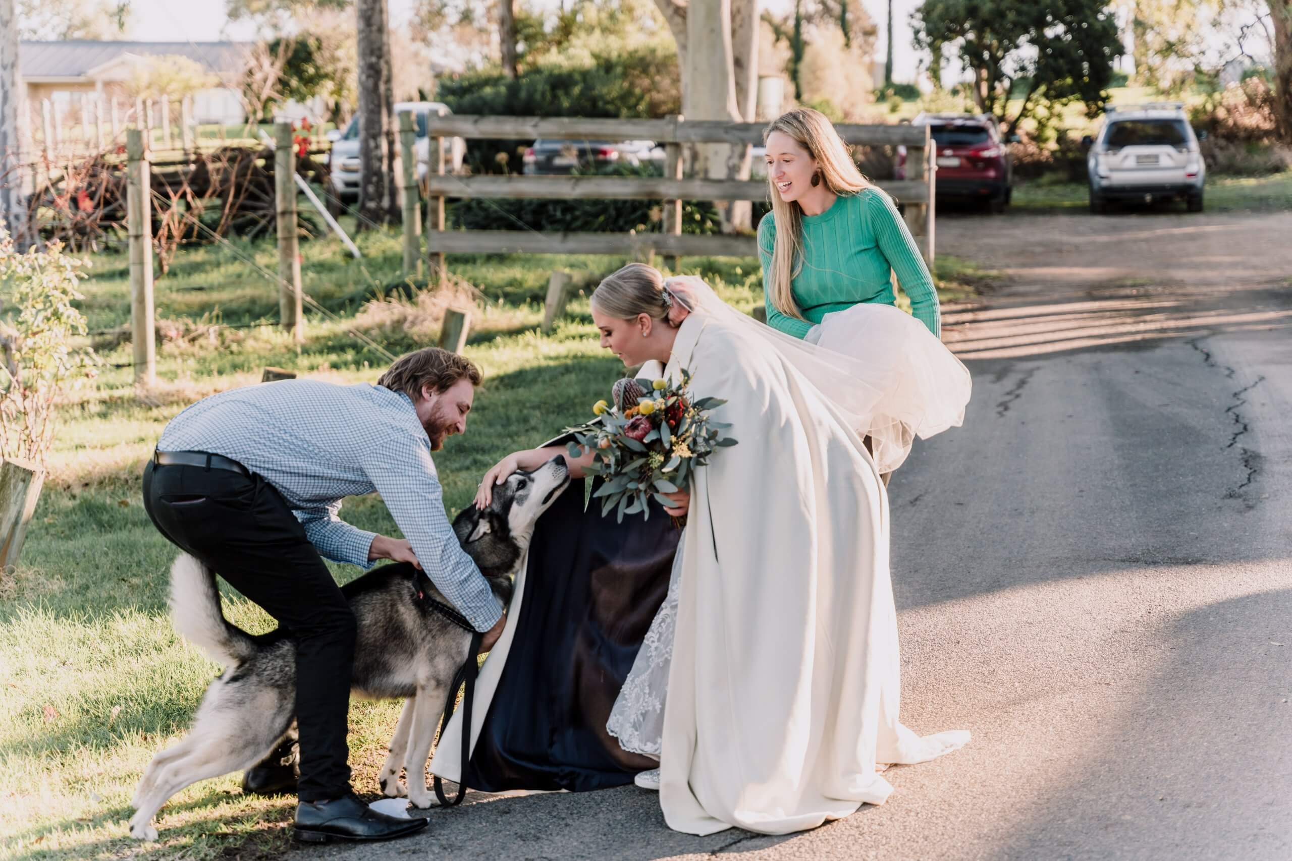Bride stops on her way to the ceremony venue to pet her husky who looks very eager to see her.